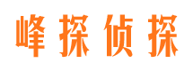 潮阳找人公司